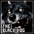 the black dog